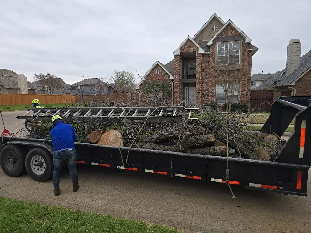 Expert Lot Clearing with proper safety equipment in Glen Gardner